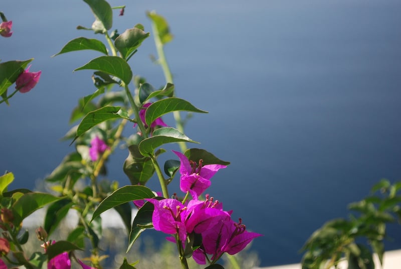 Amalfi Coast, Italy